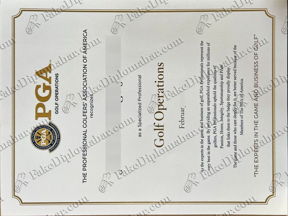 Diploma Certificates 群主微信二维码